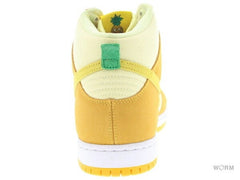 NIKE SB SB DUNK HIGH PRO DM0808-700 【DS】