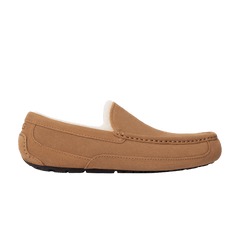 Ascot Slipper Chestnut
