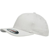 Flexfit Worn By The World Stretch Fit Cap - Silver / Silver UV