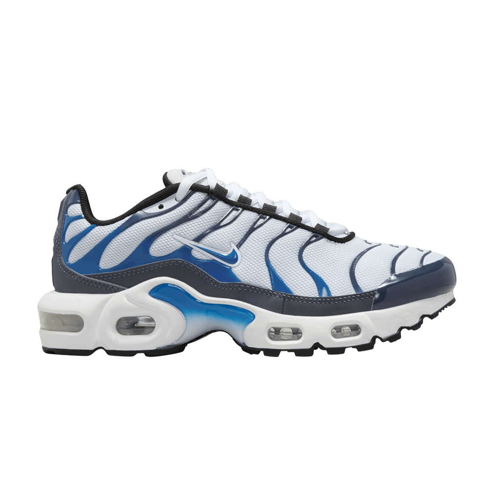 Air Max Plus Thunder Blue Photo Blue (GS)