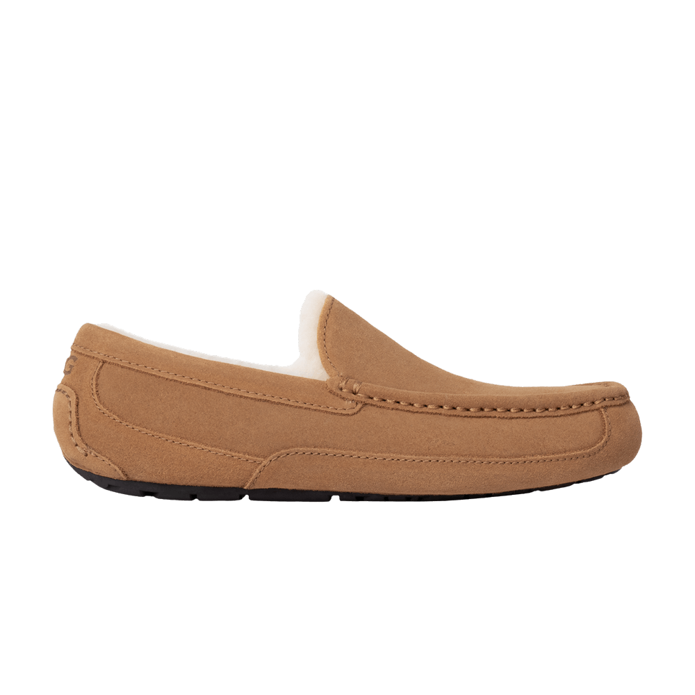 Ascot Slipper Chestnut